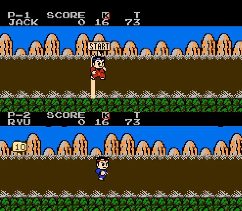 Little Ninja Brothers Jeu NES