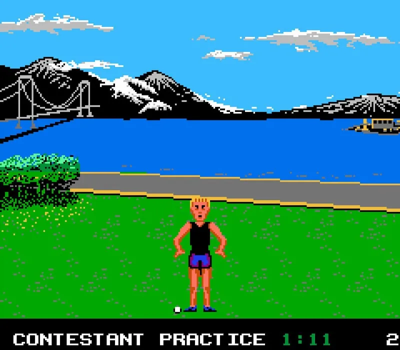 California Games Jeu NES