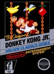 Donkey Kong Jr. Jeu NES