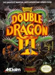 Double Dragon 3: The Rosetta Stone NES Game
