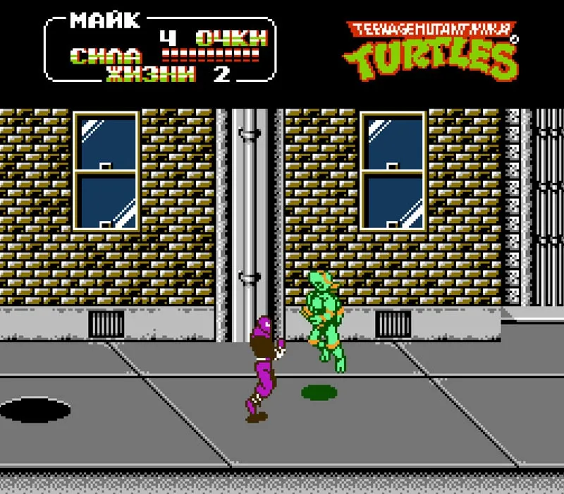 Teenage Mutant Ninja Turtles 2 NES Game