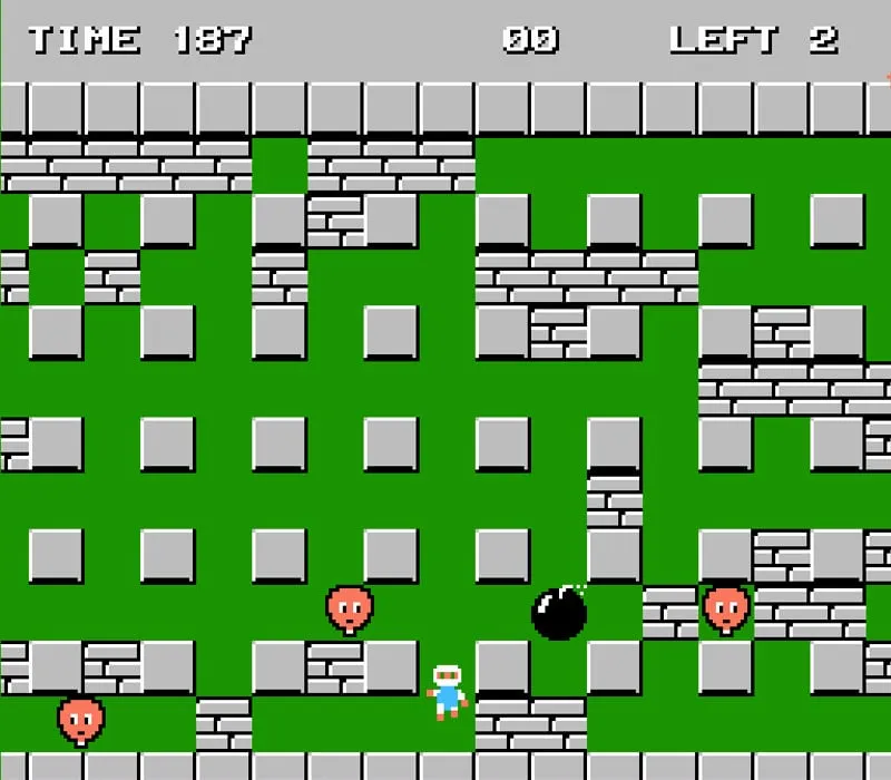 Bomberman NES Game