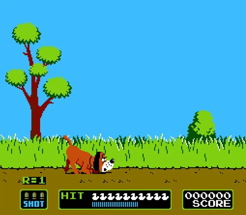 Duck Hunt NES Game