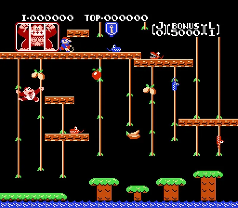 Donkey Kong Jr. NES Game