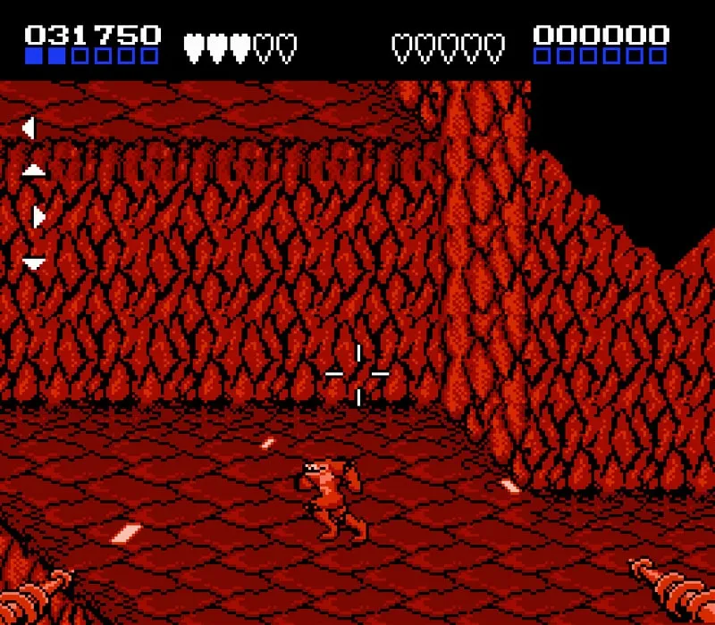 Battletoads NES Oyunu